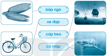 Giải VBT Tiếng Việt 1 trang 48 Bài 53: ap ăp âp