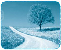 Giải VBT Tiếng Việt 1 trang 48 Bài 53: ap ăp âp