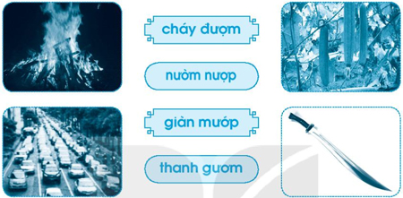 Giải VBT Tiếng Việt 1 trang 63 Bài 72: ươm ươp