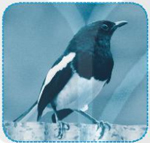 Giải VBT Tiếng Việt 1 trang 65 Bài 74: oa oe