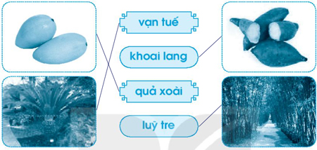 Giải VBT Tiếng Việt 1 trang 67 Bài 77: oai uê uy