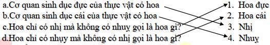 Đáp án đề thi học kì 2 lớp 5 môn Khoa học năm học 2020 – 2021