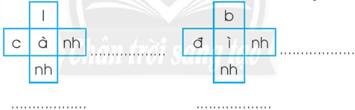 Chủ đề 15: Sinh nhật