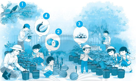 Chủ đề 17: Vườn ươm