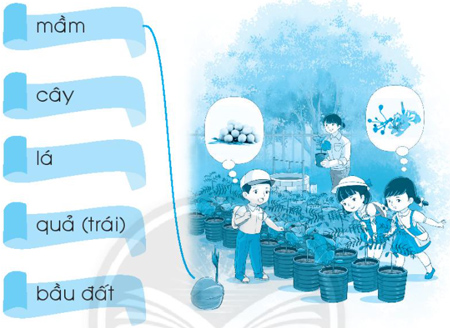 Chủ đề 17: Vườn ươm