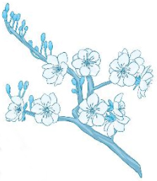 Giải VBT Tiếng Việt 1 trang 58, 59, 60 Chủ đề 18: Những điều em đã học