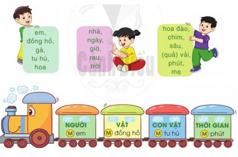 Luyện tập sách Cánh Diều
