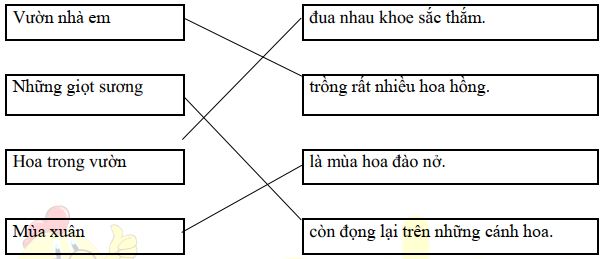 Đáp án đề thi học kì 2 môn Tiếng Việt lớp 1