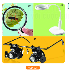 Giải KHTN lớp 6 bài 3 Kết nối tri thức