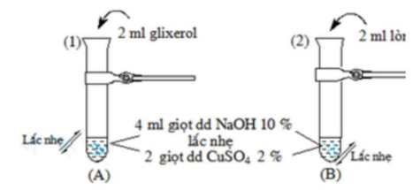 Bài tập thí nghiệm hình vẽ