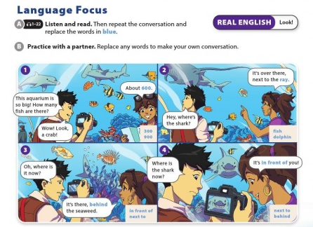 Soạn Anh 6 Unit 3 Language Focus SGK Cánh Diều