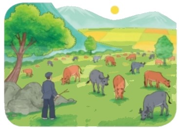 Bài 5 trang 21 Toán lớp 2 tập 1 SGK Kết nối tri thức với cuộc sống