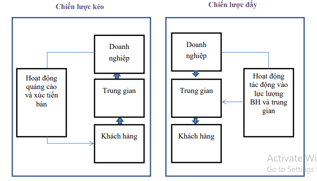 chiến lược đẩy và kéo