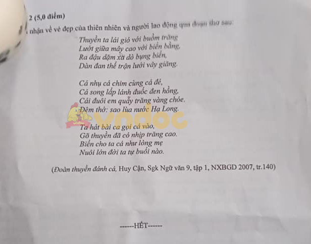 Đề thi vào lớp 10 môn Văn tỉnh Ninh Bình năm 2021