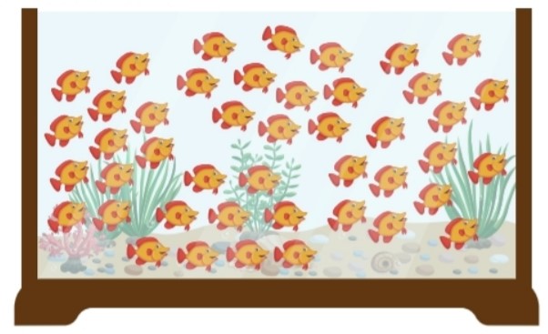 Bài 9 trang 23 Toán lớp 2 tập 1 SGK Chân trời sáng tạo