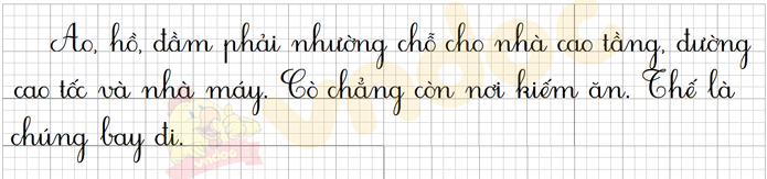 Bài 5: Những cánh cò