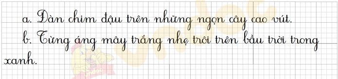 Bài 5: Những cánh cò