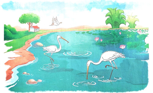 Bài 5: Những cánh cò