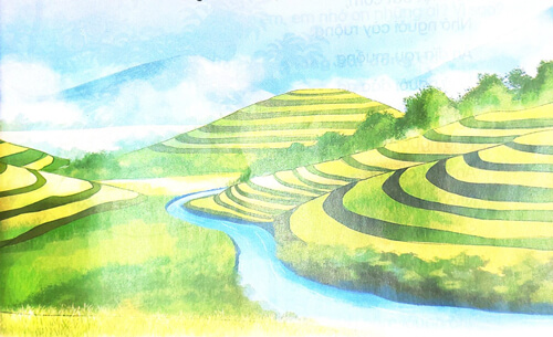 Bài 4: Ruộng bậc thang ở Sa Pa