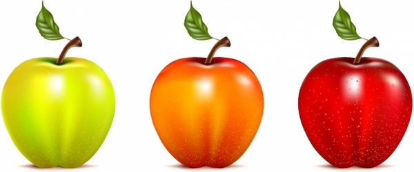 Bài tập ôn tập hè Tiếng Anh lớp 1 lên lớp 2 số 7