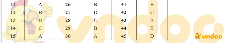 Đáp án đề thi tuyển sinh lớp 10 môn Anh tỉnh Kiên Giang 2021
