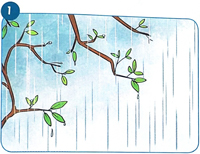 Giải Tiếng Việt 1 trang 35, 36 Bài 1: Mưa