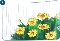 Giải Tiếng Việt 1 trang 35, 36 Bài 1: Mưa