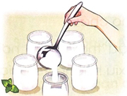 Mặt trời và hạt đậu