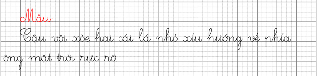 Mặt trời và hạt đậu