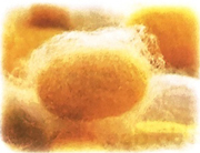 Giải Tiếng Việt 1 trang 40, 41, 42 Bài 3: Cầu vồng