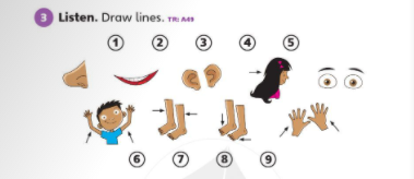 Giải Tiếng Anh lớp 1 Unit 4 Lesson Language Use SGK