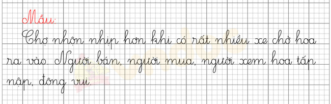 Chợ hoa ngày Tết ở Hà Nội