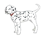 Những trò chơi cùng ông bà