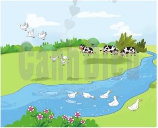 Giải Toán lớp 1 trang 62, 63 sách Cánh Diều