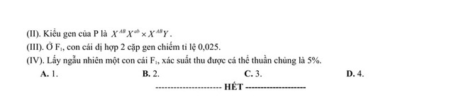 Đề thi thử THPT Quốc gia 2021