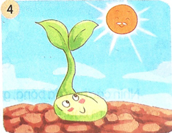 Bài 7 Cây xấu hổ - Nói và nghe