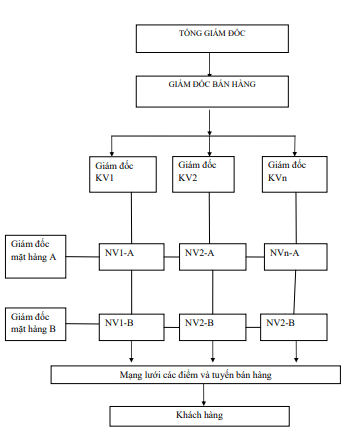 Mô hình mạng lưới bán hàng hỗn hợp kết hợp giữa khu vực và ngành hàng