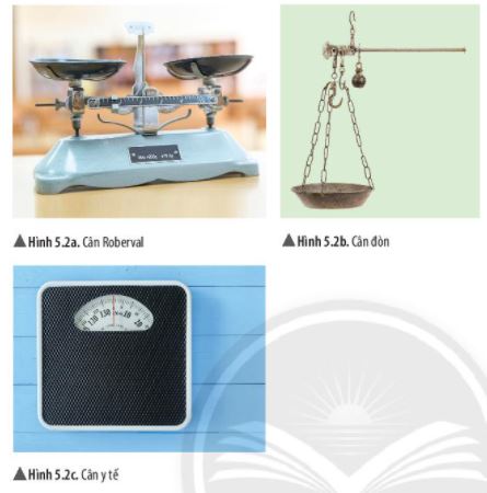 Giải KHTN 6 Chân trời sáng tạo bài 5