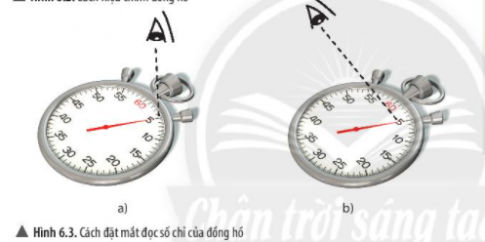 Giải KHTN 6 Chân trời sáng tạo bài 6