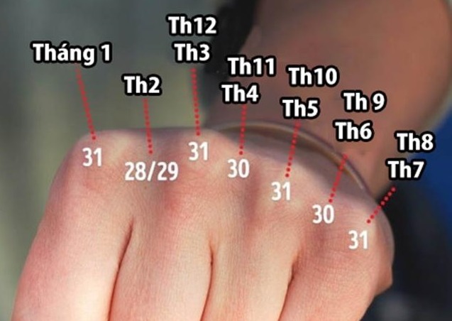 Cách tính số ngày trong tháng dương lịch