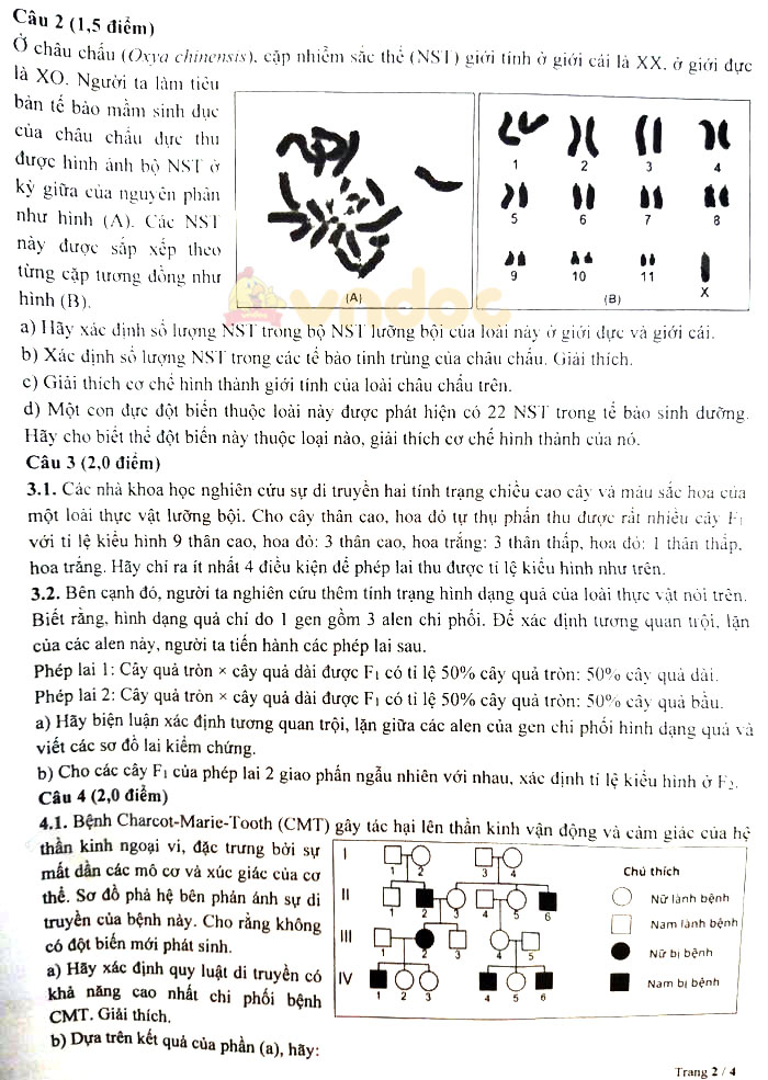 Đề thi tuyển sinh lớp 10 môn Sinh Chuyên Sư Phạm Hà Nội năm 2021