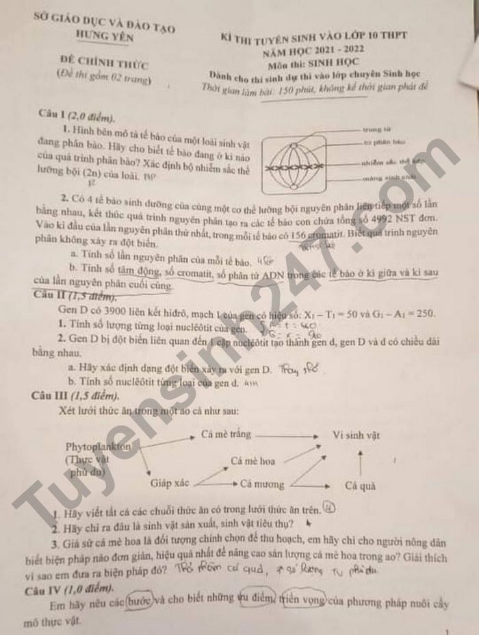 Đề thi tuyển sinh lớp 10 môn Sinh Chuyên Hưng Yên năm 2021