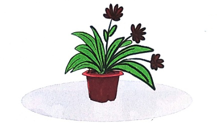 Giải Chậu hoa trang 52, 53 sách Cánh Diều