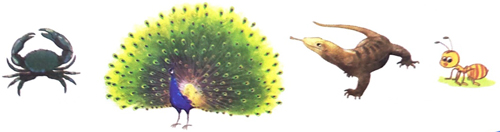 Bài 18: Tớ nhớ cậu - Phần viết 