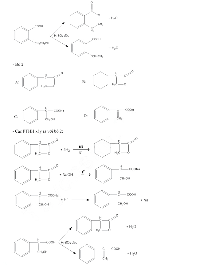 Đề thi vào lớp 10 chuyên KHTN năm 2021 môn Hóa