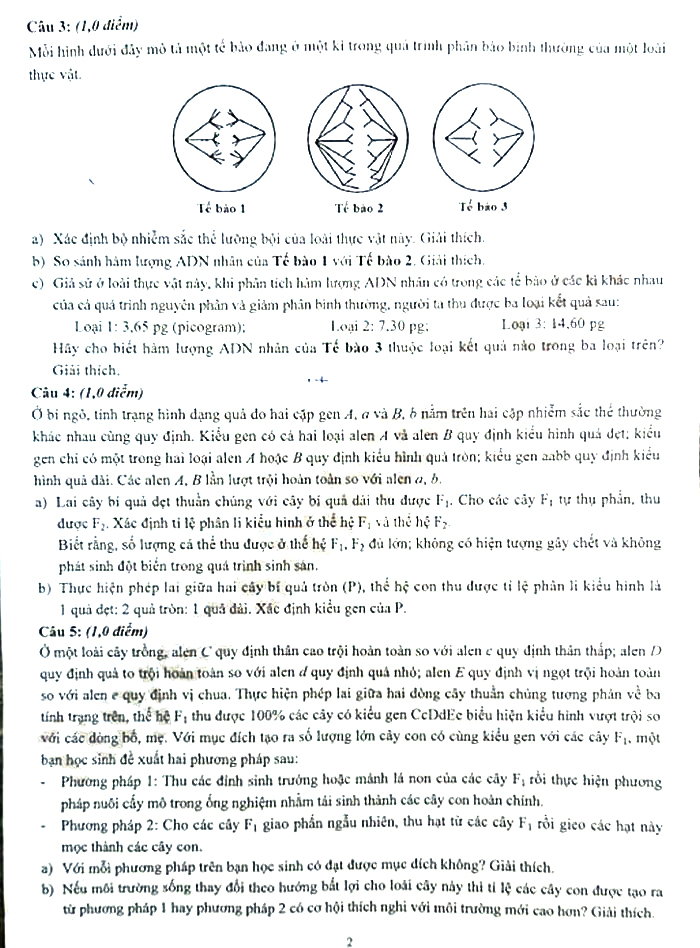 Đề thi tuyển sinh lớp 10 môn Sinh Chuyên KHTN Hà Nội năm 2021
