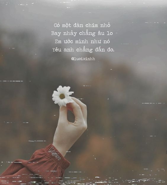 Những bài thơ tình hay