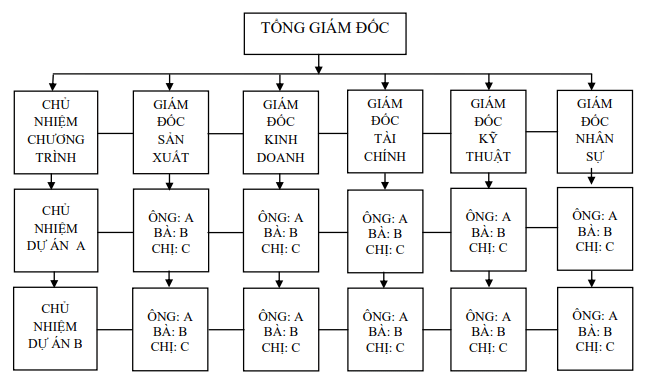 Tổ chức dự án theo chức năng