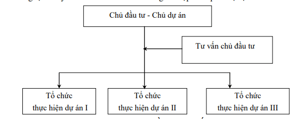 Mô hình chủ đầu tư trực tiếp quản trị dự án