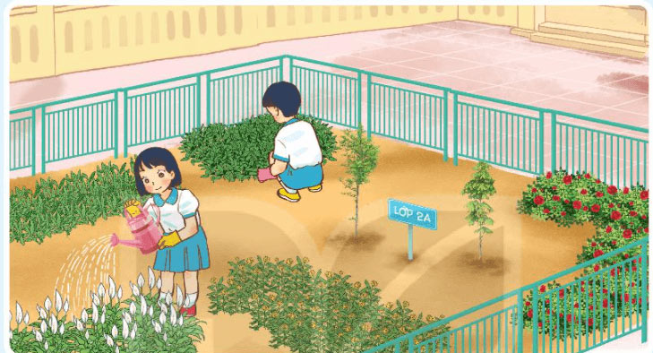 Tự nhiên xã hội 2 Hoạt động vận dụng